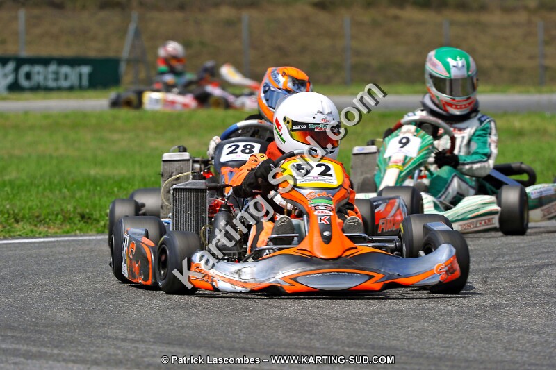 DSC_ (252).jpg